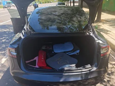 2019 Tesla Model 3 Standard Range Rear-Wheel Drive Upgrade, фото 4, лот 10353401