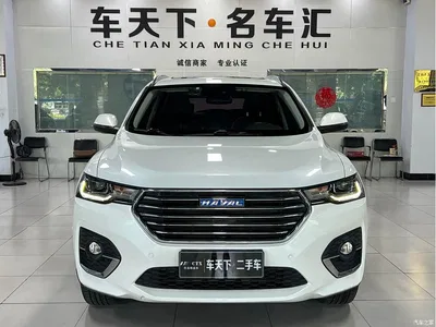 2018 Haval H4 Blue Label 1.5GDIT DCT Trend Edition, фото 2, лот 10281980
