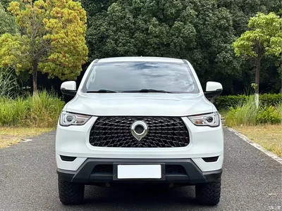 2021 Great Wall Pao 2.0T Commercial Edition Manual Diesel 4WD Elite Long Box GW4D20M, фото 2, лот 10408097