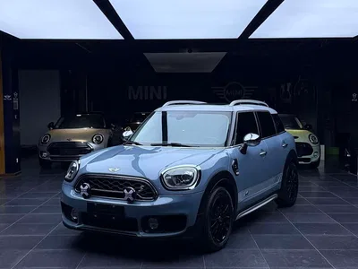 2017 MINI COUNTRYMAN 2.0T COOPER S ALL4, фото 1, лот 10329704