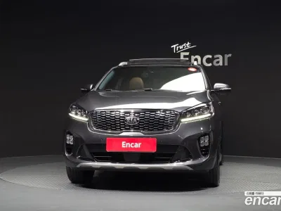 2019 Kia Sorento Diesel 2.2 4WD, фото 3, лот 11102318