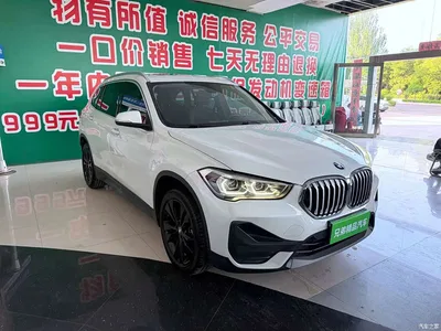 2020 BMW X1 sDrive20Li Fashion Model, фото 2, лот 10466808