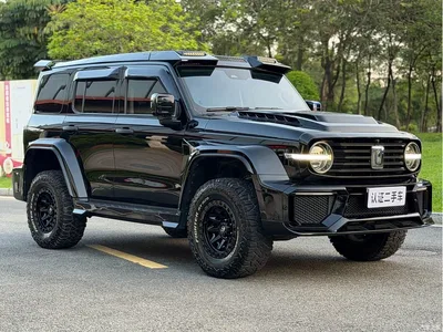 2021 Tank 300 Off-road Version 2.0T Conqueror, фото 3, лот 10344951