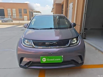 2023 BYD Dolphin 420km Freedom Edition, фото 3, лот 10260477