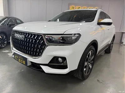 2023 Haval H6 National Trend Edition 1.5T Automatic Champion, фото 1, лот 10281913