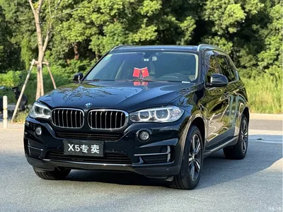 2017 BMW X5 (Import) xDrive35i Elegance, фото 1, лот 11459763