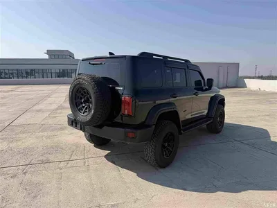2021 Tank 300 Off-road Version 2.0T Conqueror, фото 4, лот 11579204