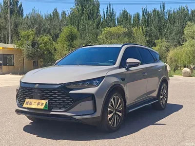 2026 BYD Tang New Energy Smart Drive Edition DM-i 160KM Premium, фото 1, лот 10273233