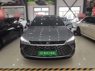 2025 BYD Qin PLUS DM-i Smart Drive 55KM Leader, фото 3, лот 11178974