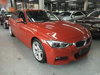 2017 BMW 3 Series 320Li M Sport, фото 4, лот 10457445