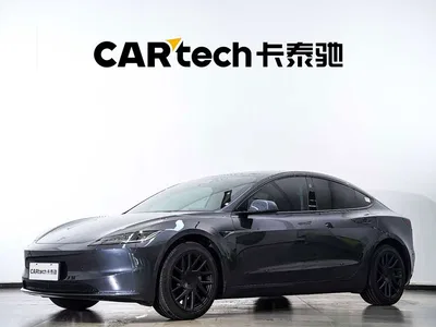 2023 Tesla Model 3 Rear-Wheel Drive, фото 1, лот 10351872
