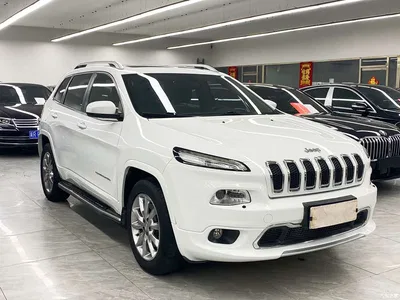 2017 Jeep Cherokee 2.4L Professional Smart Edition, фото 3, лот 11397093