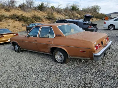 1977 CHEVROLET NOVA, фото 2, лот 10975857