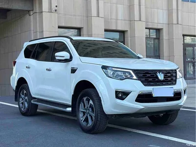 2024 Dongfeng Fengdu Paladin 2.0T AWD Ultimate Edition, фото 2, лот 10410084