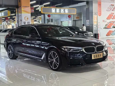 2020 BMW 5 Series 530Li Exclusive M Sport Package, фото 3, лот 10663149