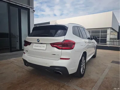 2018 BMW X3 xDrive30i Leading M Sport Package China V, фото 3, лот 10461713