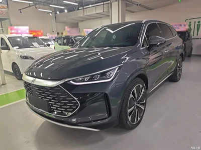 2022 BYD Tang New Energy DM-p 215KM AWD Executive, фото 2, лот 10272484