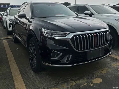 2019 Hongqi HS5 2.0T Intelligent Flagship 4WD Version, фото 1, лот 11191122