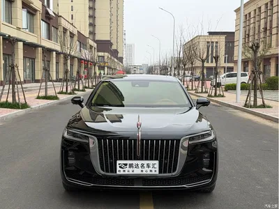 2020 Hongqi H9 2.0T Smart Connection Qi Chang Edition, фото 2, лот 10287393
