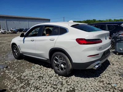 2025 BMW X4 XDRIVE30I, фото 2, лот 10808931