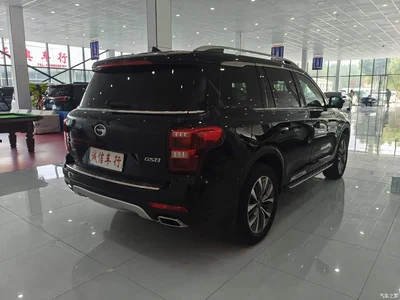 2017 GAC Trumpchi Trumpchi GS8 320T 2WD Luxury Smart Connect (7-seater), фото 4, лот 10415216