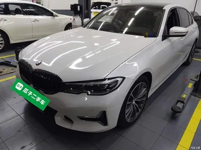 2020 BMW 3 Series 325Li Launch Edition, фото 1, лот 10481513