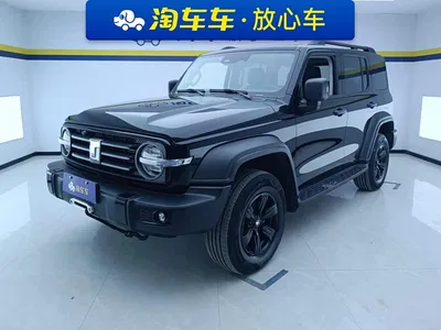 2021 Tank 300 Off-road Version 2.0T Conqueror, фото 1, лот 11508751