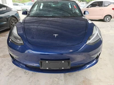 2020 Tesla Model 3 Facelift Long Range Rear-Wheel Drive, фото 3, лот 10370186