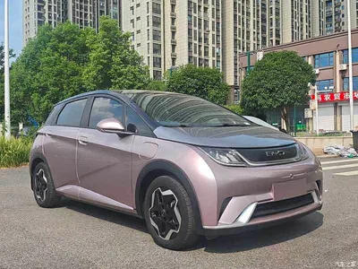 2021 BYD Dolphin Model 405km Fashion Edition, фото 3, лот 10255120