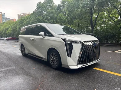 2023 GAC Trumpchi Trumpchi M8 Model Master Series Hybrid Royal Edition, фото 2, лот 10420324