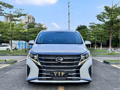 2023 GAC Trumpchi Trumpchi M8 Leading Series 390T Premium Edition, фото 2, лот 10769438