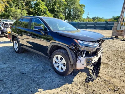 2025 TOYOTA RAV4 LE, фото 4, лот 11589018