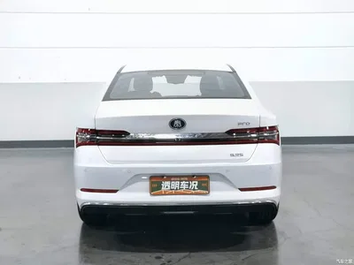 2018 BYD Qin Pro New Energy DM 1.5TI Auto Smart Connect Premium, фото 4, лот 10957840