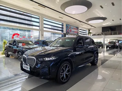 2025 BMW X5 Model xDrive 30Li Exclusive M Sport Blackout Package, фото 1, лот 10462809