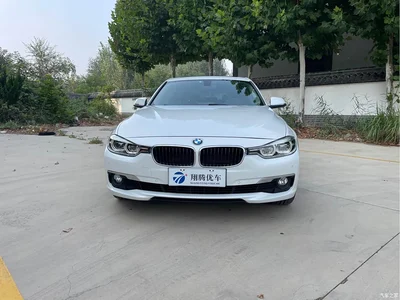 2017 BMW 3 Series 320Li Fashion, фото 2, лот 10887943