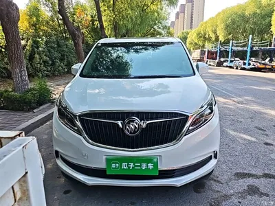 2017 Buick GL8 ES 28T Premium China V, фото 3, лот 11007977