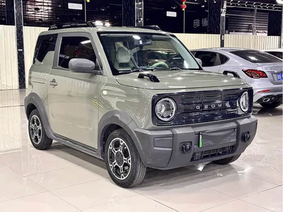 2025 Geely Galaxy Panda Model Year 210km Panda Knight, фото 3, лот 10431316