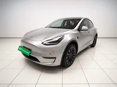 2021 Tesla Model Y Standard Range Rear-Wheel Drive, фото 1, лот 10387861