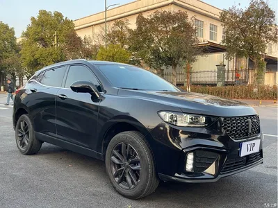 2017 WEY VV5 2.0T Super Luxury Model, фото 3, лот 10605688