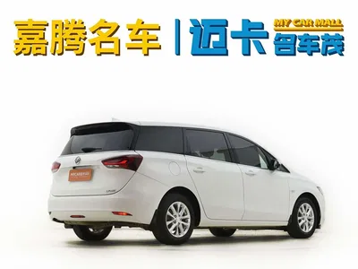 2019 Buick GL6, фото 3, лот 10242835