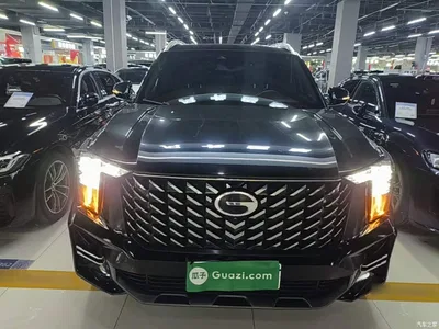 2024 GAC Trumpchi Trumpchi GS8 Navigator Series 2.0TGDI 4WD Luxury Smart Connect Edition, фото 3, лот 11448309