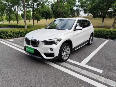 2019 BMW X1 sDrive20Li Leading Model, фото 2, лот 10467483