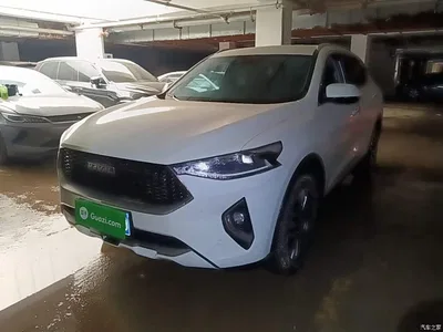 2019 Haval F7 2.0T 4WD i-Joy China VI, фото 2, лот 10285736