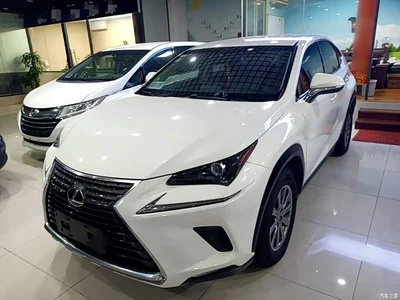 2018 Lexus NX Model 300 FWD Fengxing Edition, фото 2, лот 10319215