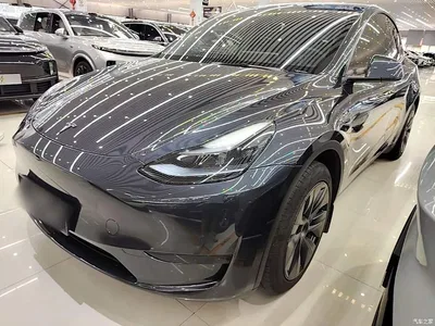 2024 Tesla Model Y Rear-Wheel Drive Version, фото 2, лот 10370085