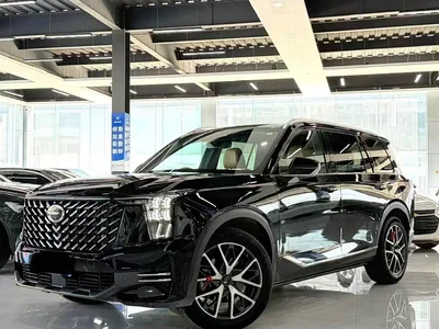 2025 GAC Trumpchi Trumpchi GS8 Pilot Series 2.0TGDI 2WD Luxury Edition 5-seater, фото 1, лот 10417268
