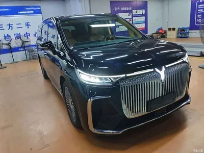 2025 Voyah Auto Voyah Dreamer EV AWD Excellent Kunpeng Edition, фото 4, лот 11219152