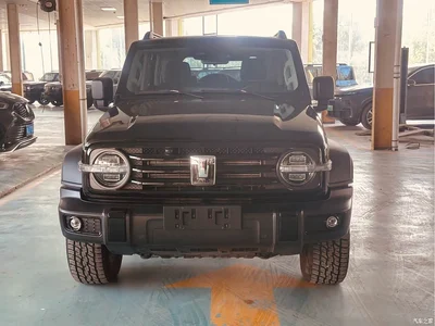 2021 Tank 300 Off-road Version 2.0T Conqueror, фото 2, лот 11527501