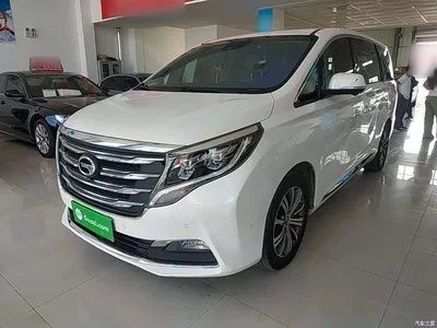 2018 GAC Trumpchi Trumpchi M8 320T Flagship Edition, фото 1, лот 10606812