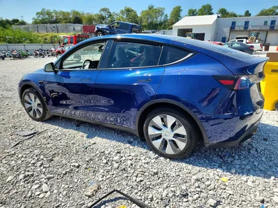 2024 TESLA MODEL Y, фото 2, лот 10856183